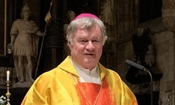 Bischof Manfred Scheuer am 4.11.2025 im Wiener Stephansdom